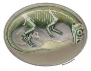 baby dinosaurs image